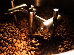 images/beans.jpg